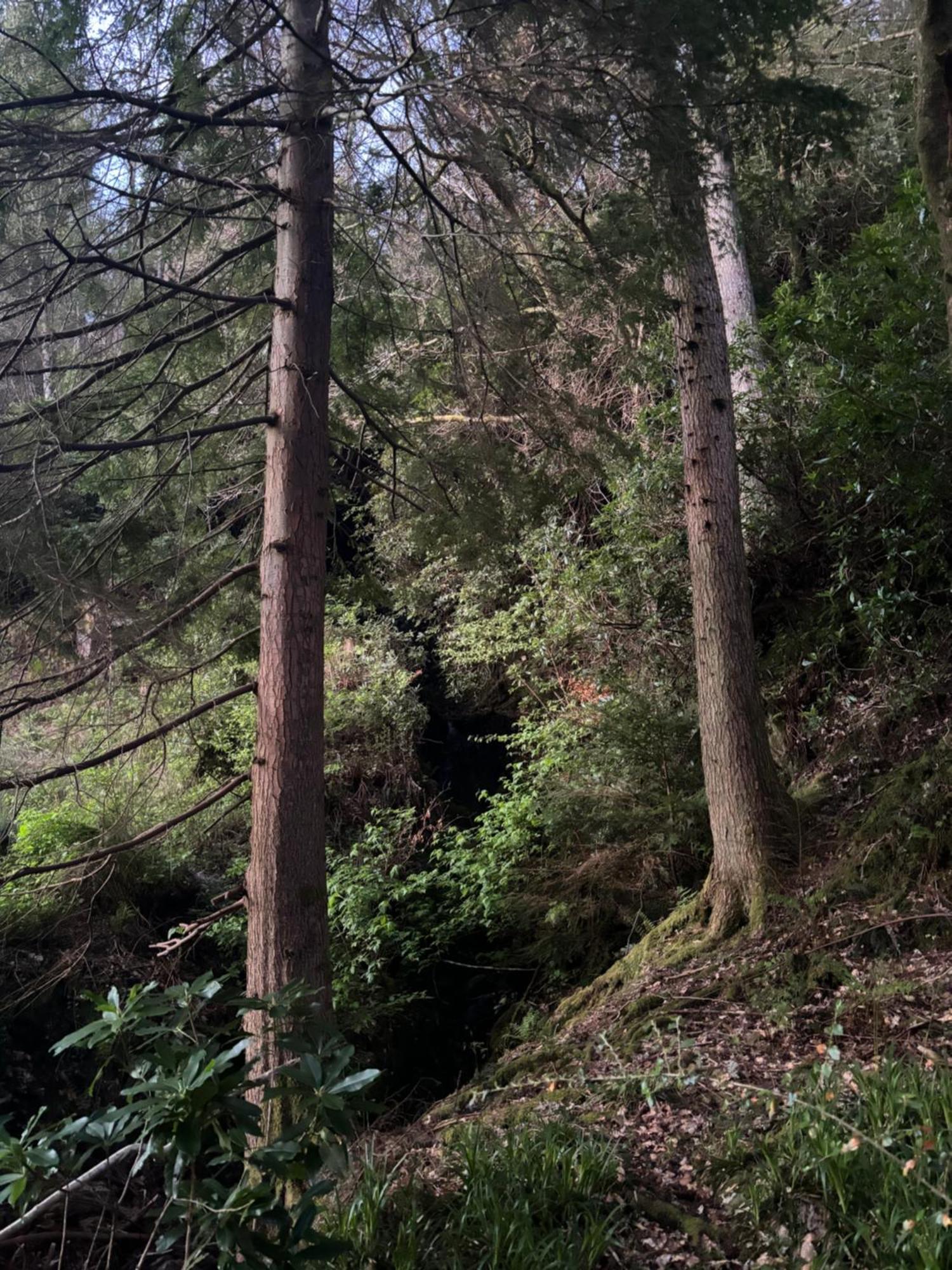 North Lodge Kilmun Luaran gambar