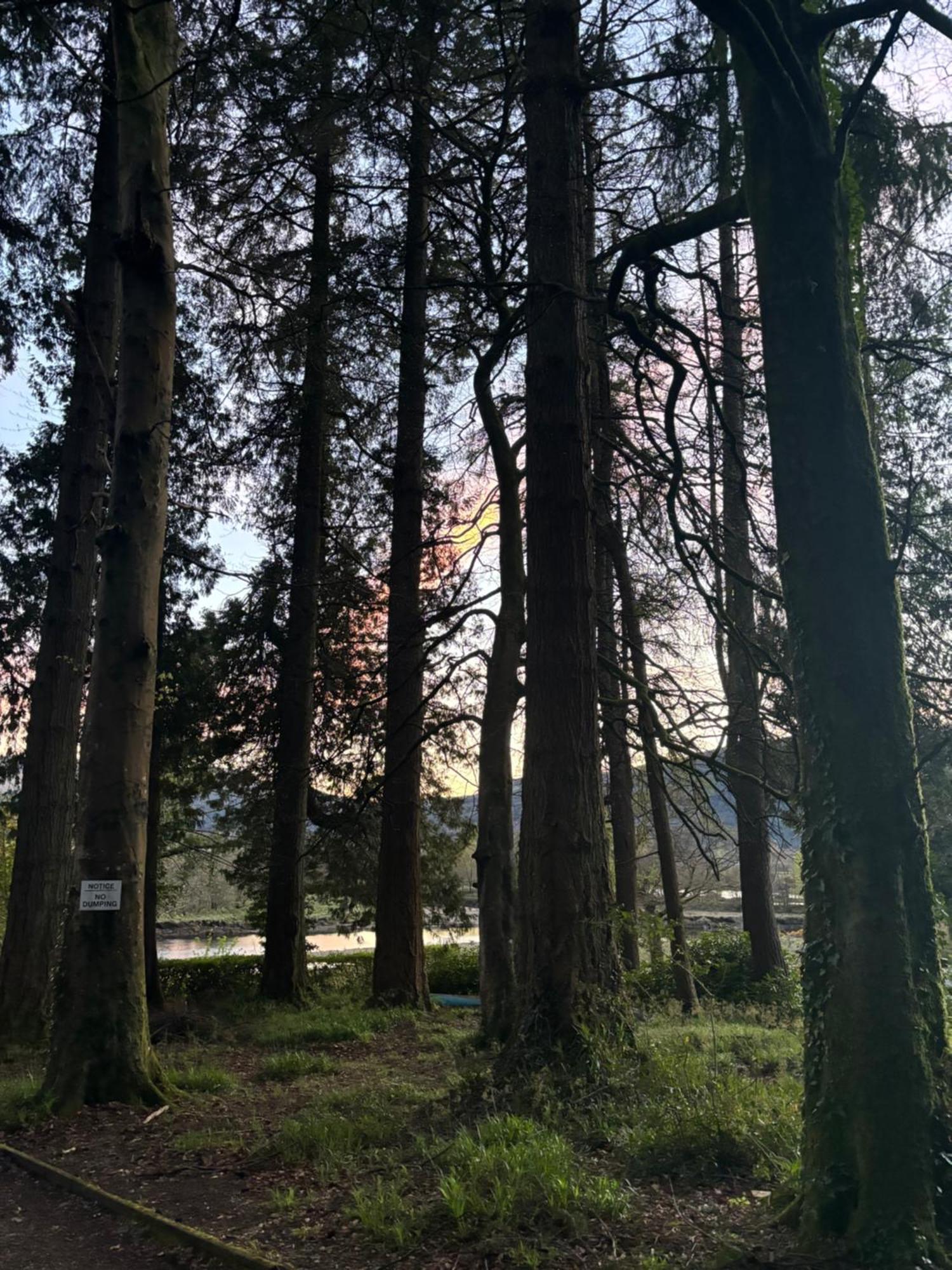 North Lodge Kilmun Luaran gambar