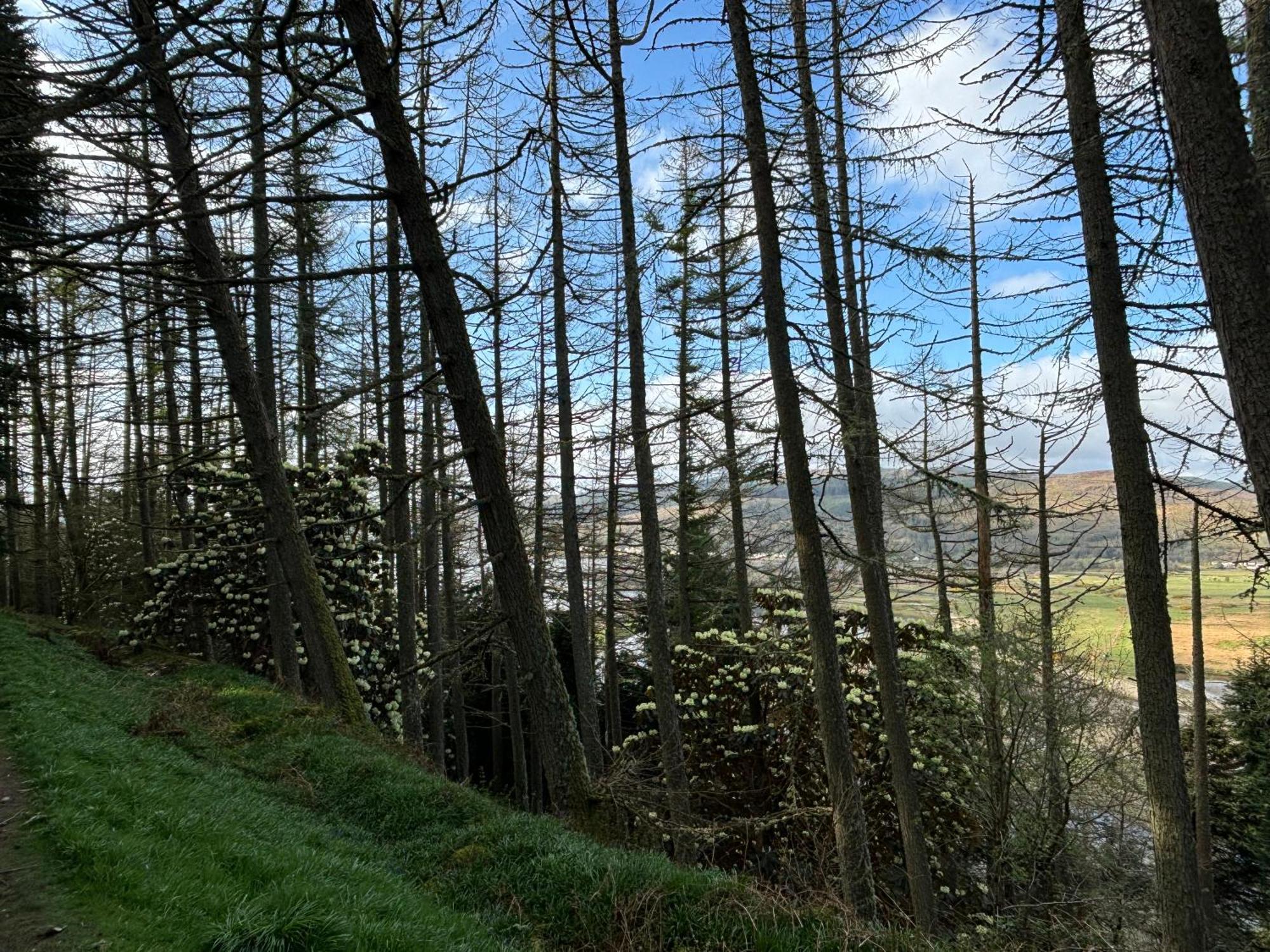 North Lodge Kilmun Luaran gambar